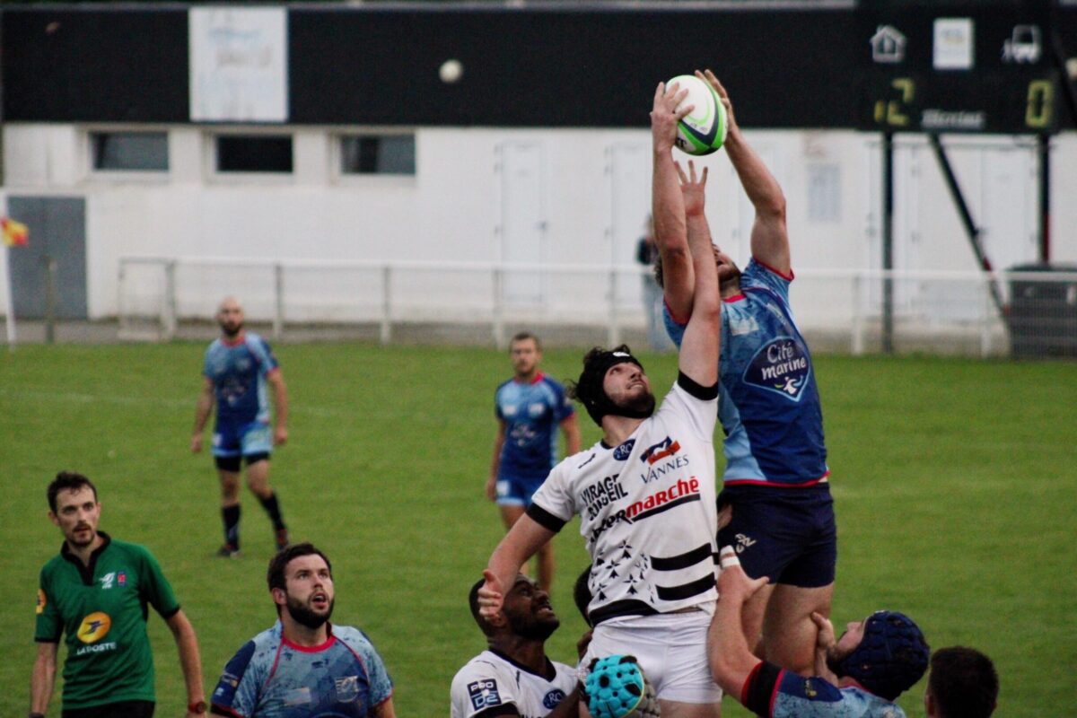 Cité Marine est partenaire du "Pays d'Auray Rugby Club"