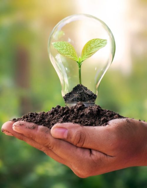 Bilan carbone Cité marine